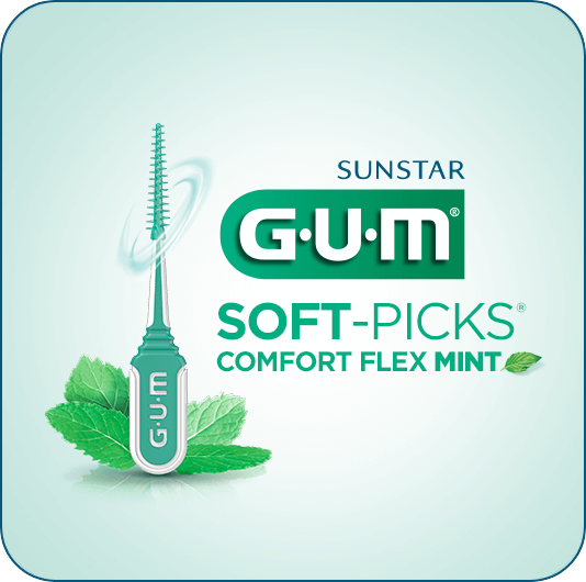 GUM Soft-PIcks Comfort Flex Mint